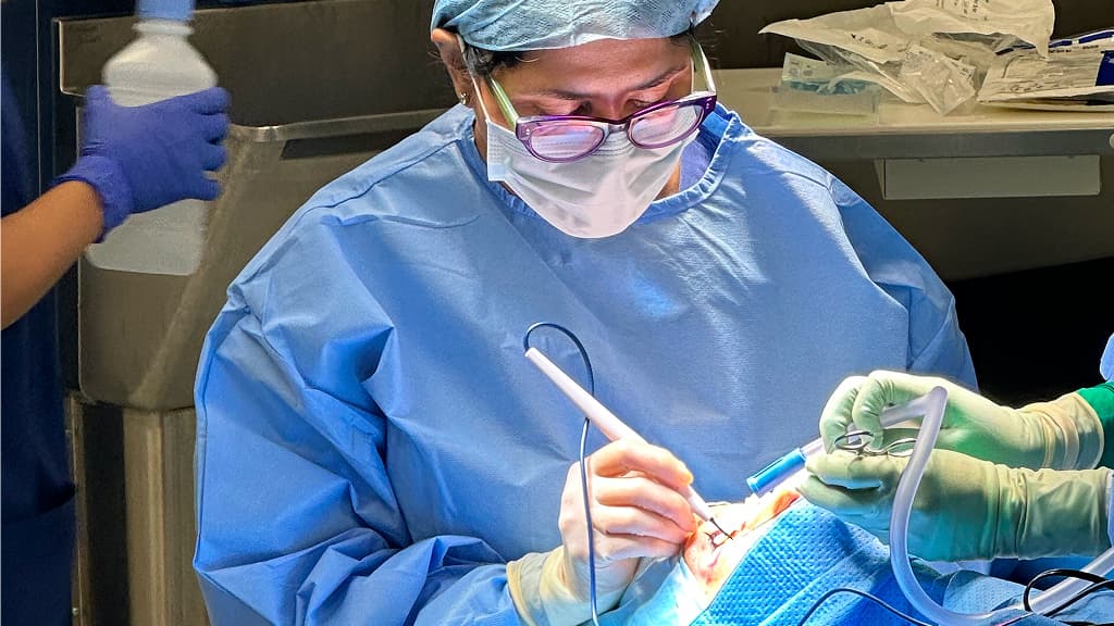 How Does Non Surgical Facial Contouring Procedure Work?