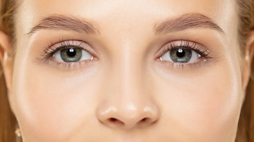 Eyelid Anatomy : The Complete Guide 2024 Eyelid Anatomy : The Complete Guide 2024